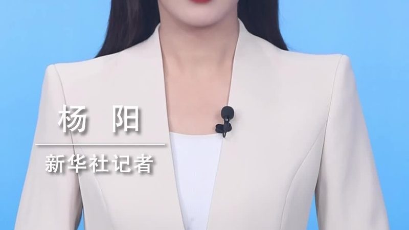 智能客服系统：成本考量背后的价值解析**